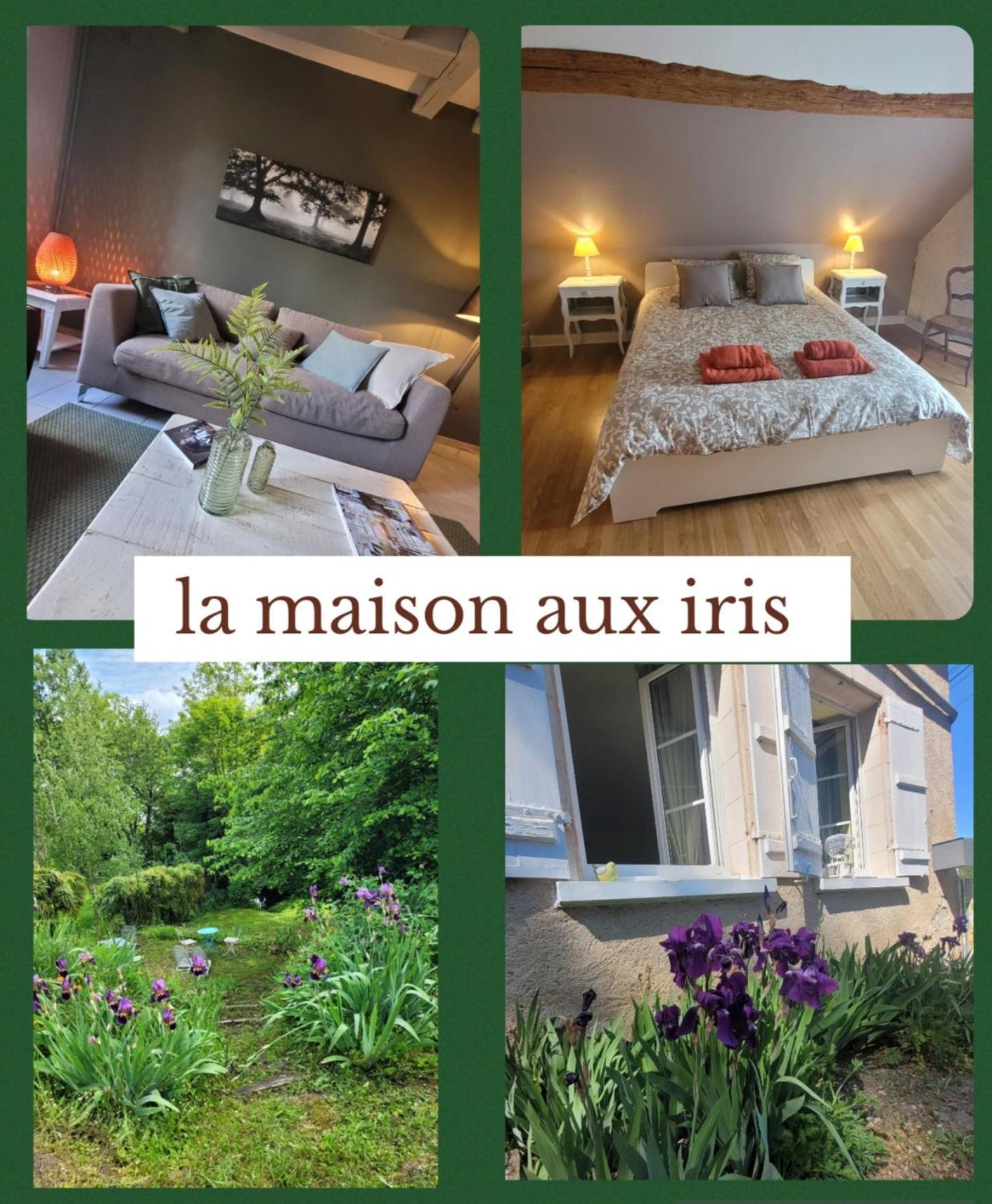 La Maison Aux Iris Pocé-sur-Cisse Eksteriør billede
