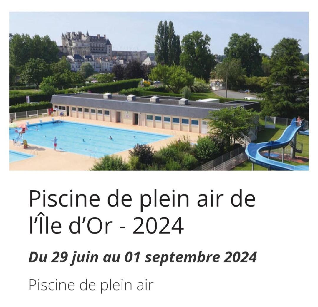 La Maison Aux Iris Pocé-sur-Cisse Eksteriør billede