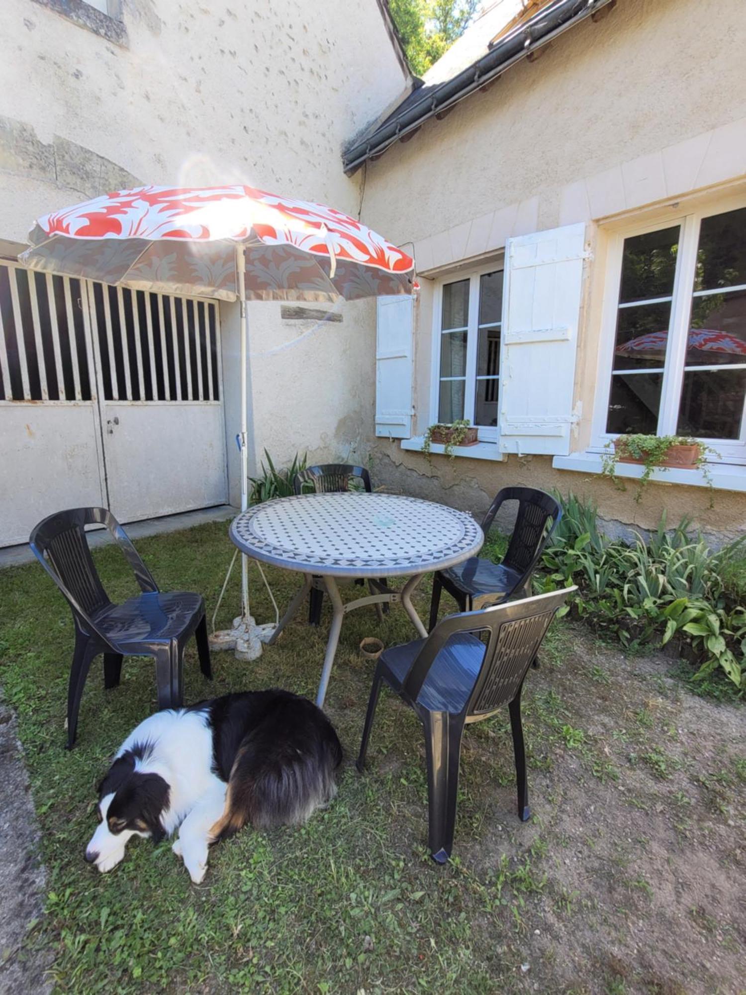 La Maison Aux Iris Pocé-sur-Cisse Eksteriør billede