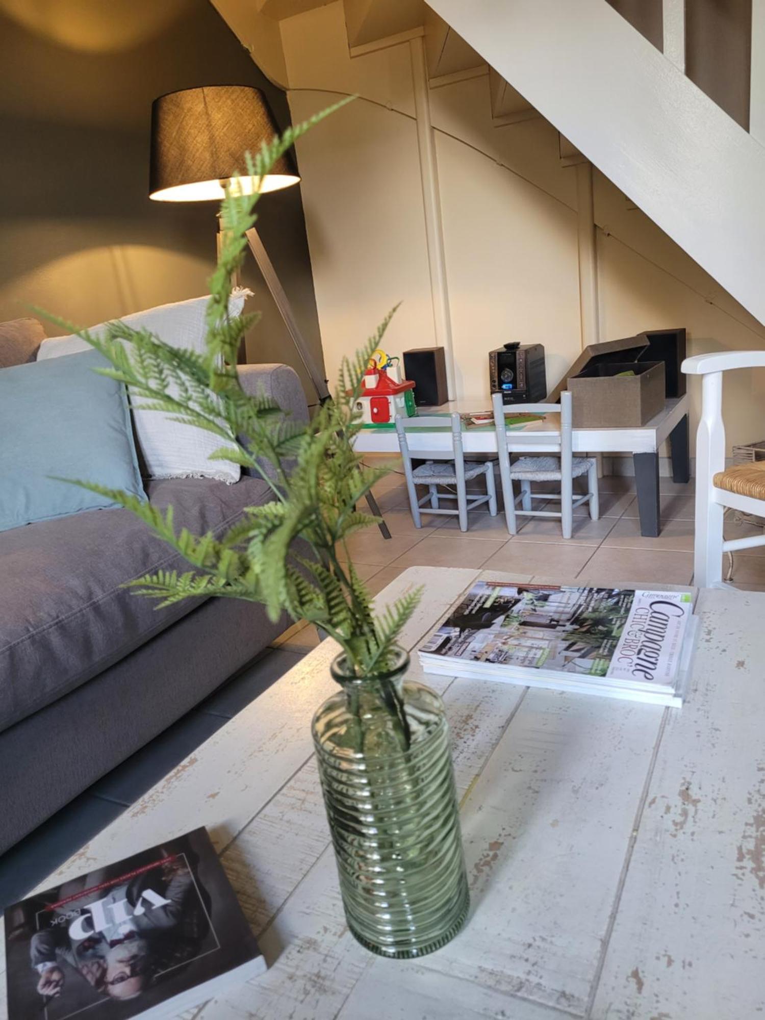 La Maison Aux Iris Pocé-sur-Cisse Eksteriør billede